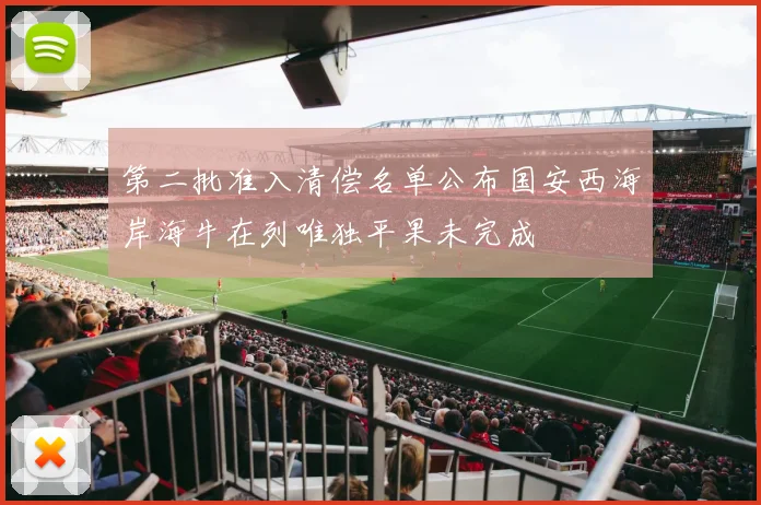 第二批准入清偿名单公布国安西海岸海牛在列唯独平果未完成