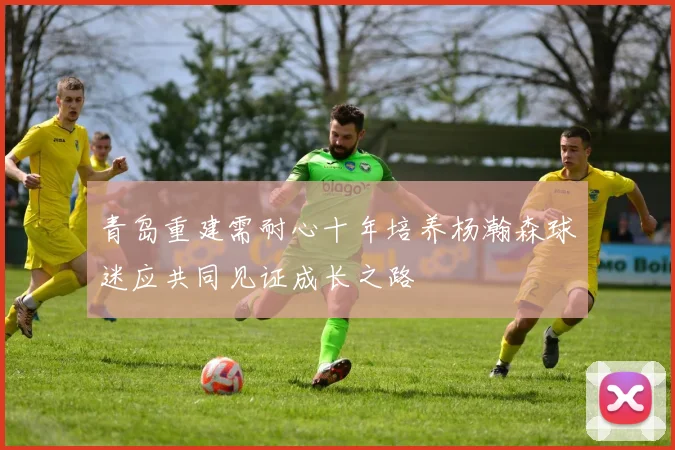 青岛重建需耐心十年培养杨瀚森球迷应共同见证成长之路